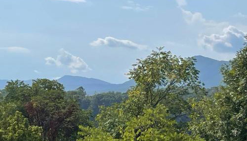 The Firefly Lodge at ShenandoahHot Tub~ View~Pets - Foto 5, Other