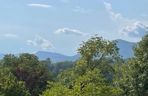 The Firefly Lodge at ShenandoahHot Tub~ View~Pets - Foto 5