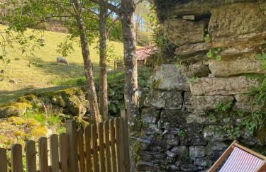 EL VIEJO MOLINO - Foto 30