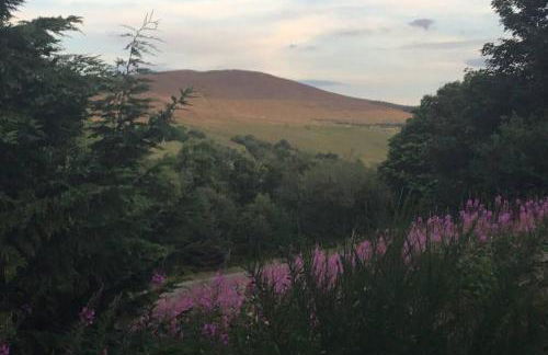The Annex at Bonnieview - Photo 17