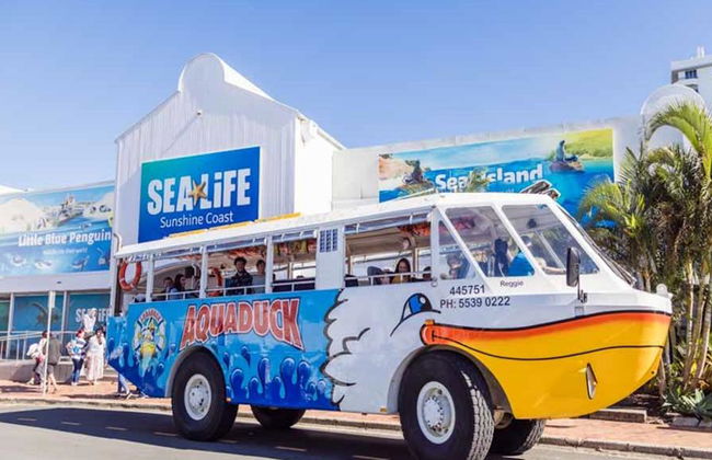 Excursiones Aquaduck en Sunshine Coast - Foto 6