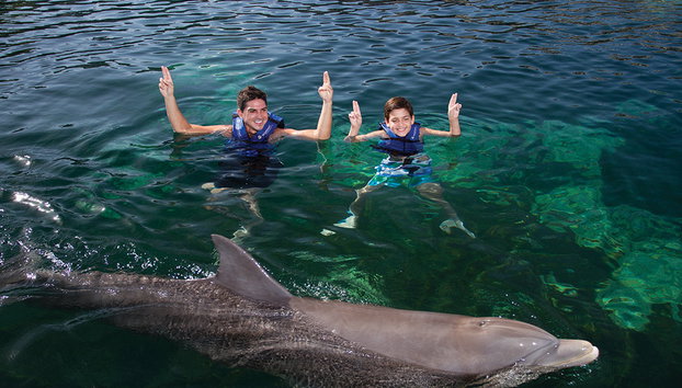 Interação com Golfinhos + Xcaret Plus - Foto 4