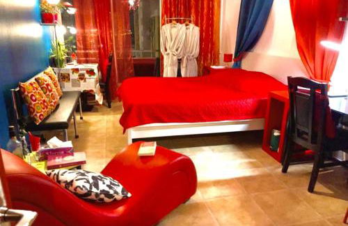 Meublé Les Dômes du Parc 6ème - Foto 15