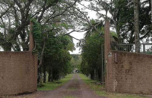 Recanto Bamboo Verde - Foto 12