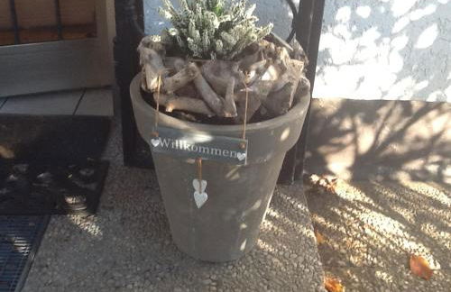 Appartement in der Waldsiedlung - Foto 8