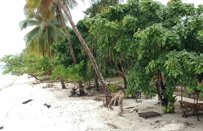 marine homestay - Foto 10