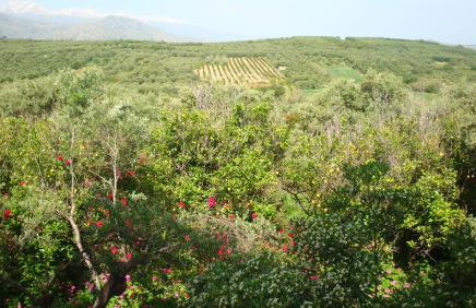 Calamon Apartments - Foto 40