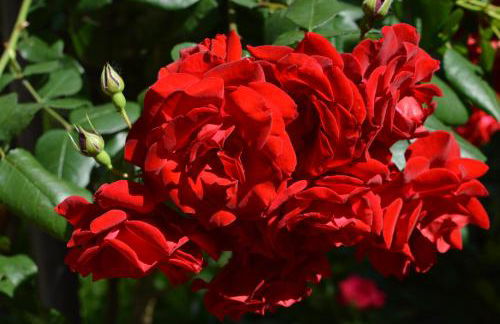 DESIGN DISTRICT- NAVIGLI Mini Appartamento Via Tortona 66 - Foto 18