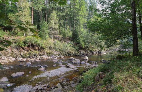 Bryn Cemlyn - Foto 42