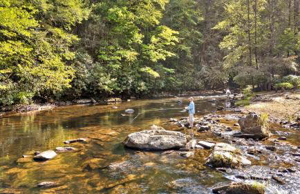 Driftwood Rapids Villa - Foto 62