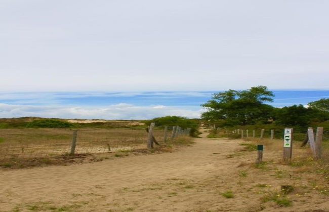 Oostduinkerke Forestside Villa - Foto 35