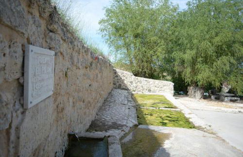 Las diez ovejas alojamiento rural - Foto 27