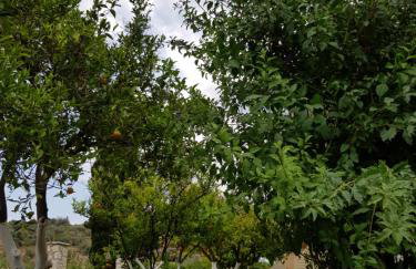 Το Είδωλον - Foto 19