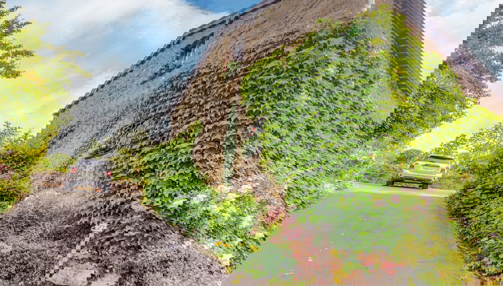 Quaint Holiday Home in Trois-Ponts near Forest - Foto 1, Imagem principal