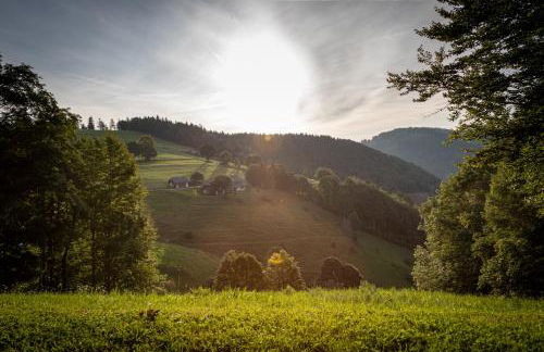 Chalet Abnona - Foto 33