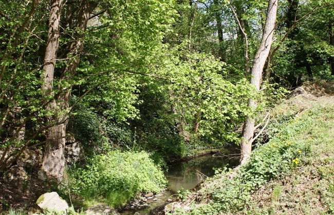 Mosel Mill Garden Stay - Photo 22