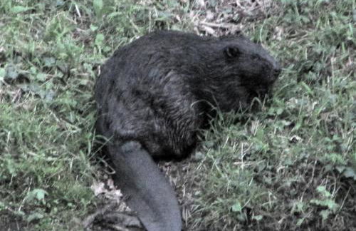 Gut Kallerbend - Foto 33