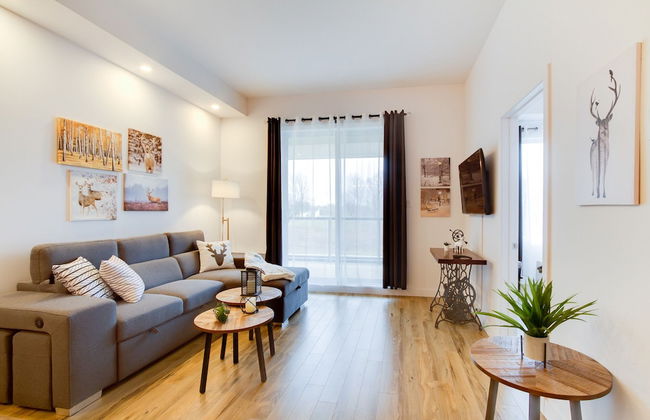 L'île d'O - Foto 50