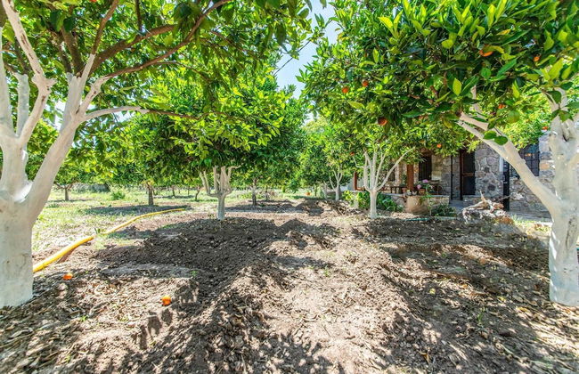 Chic Villa w Fireplace 3 min to Beach in Bodrum - Photo 15