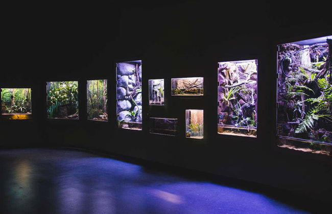 Entrada al Acuario de Cairns - Foto 5