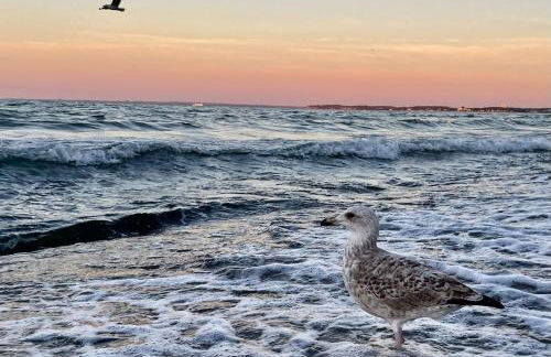 Villa Scharbeutz, Pönitz - Foto 14