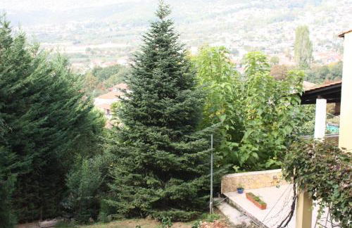 Six Steps From The Forest - Photo 9