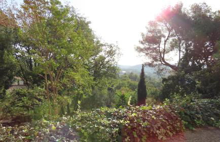 La Rose & Le Loup - Foto 18