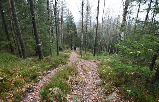 4 Person Holiday Home in Boras - Photo 9