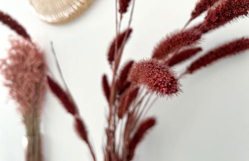 Le Viarm'Élite - Photo 7