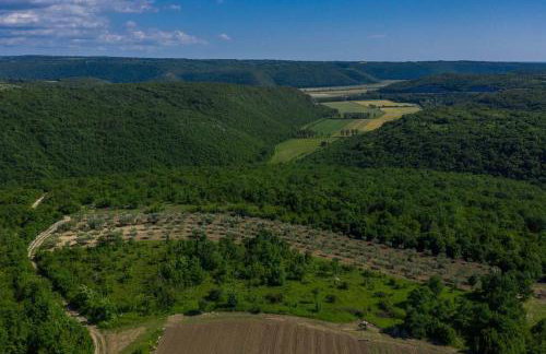 Villa Skarline - Foto 48