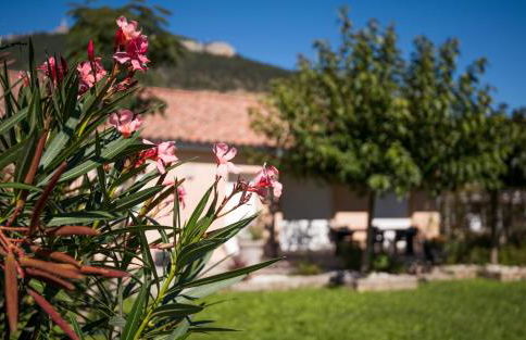 l'écrin du clocher maison piscine jardin wifi - Photo 14