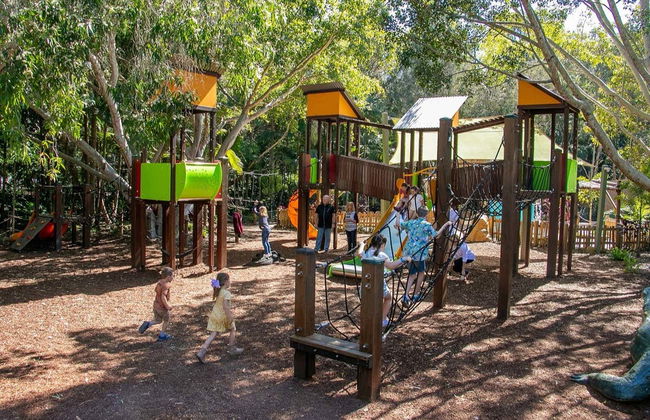 Currumbin Wildlife Sanctuary Ticket - Foto 7