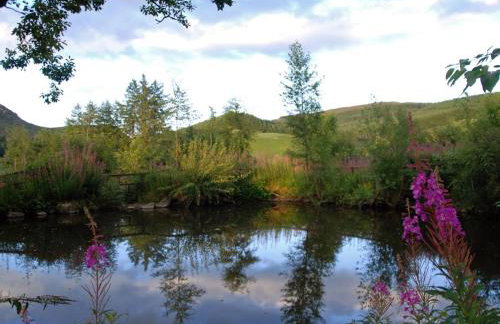 5 Bed in Blairgowrie oc-ca409 - Foto 33