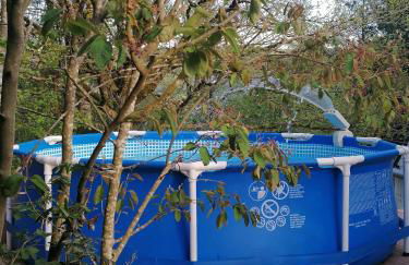 Schwarzwald Appartement - Foto 4