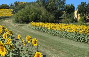 Agriturismo Fattoria Del Colle By Enrico - Foto 32