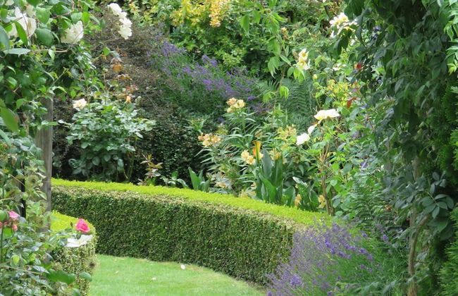 Marchmont Gardens - Photo 17