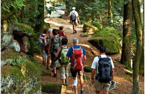 La Clémentine - Foto 31