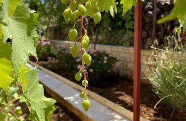 Villa Dese - Photo 37