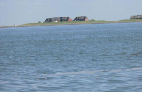 Friesenhaus am Meer - Foto 17