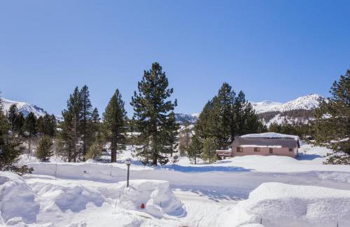 Mammoth Green # 105 - Photo 21