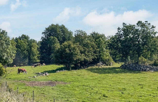 4 Person Holiday Home in Virserum - Foto 15