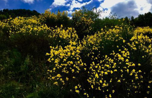 Agriturismo Monaci Templari - Foto 59