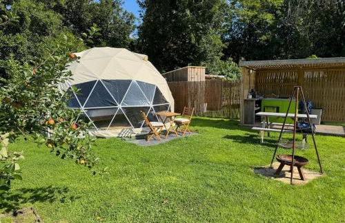 The Little Retreat, Pembrokeshire - Photo 6