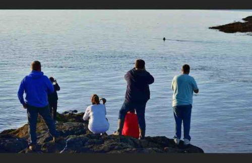 Fraoch, Pets welcome - Foto 29