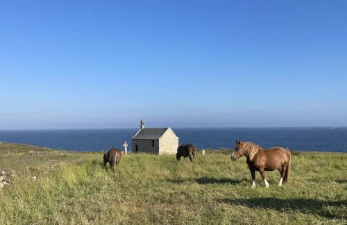 TY MENEZ HEOL - Magnifique villa avec piscine - Foto 41