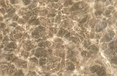 Fisky House - Foto 13