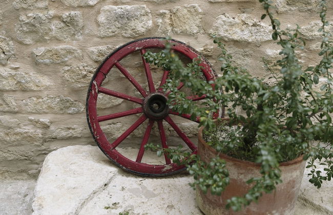 Castel di Luco - Foto 30