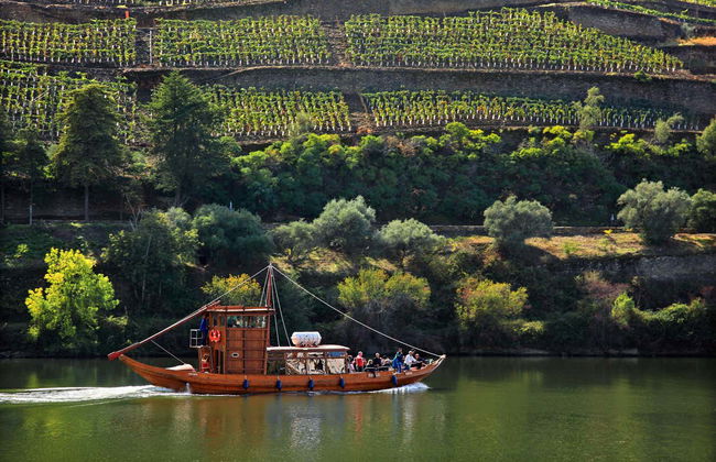 Excursión privada desde Oporto - Foto 7