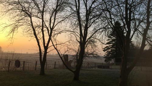 Ferienhaus Kaept n Poldi 25192 - Foto 5