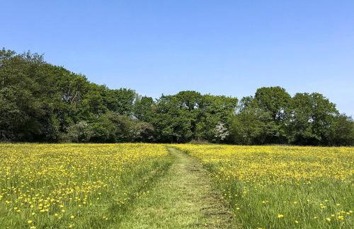 Betty's Cottage - Photo 19